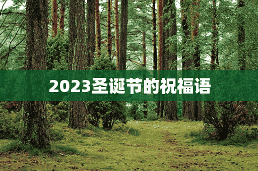 2023圣诞节的祝福语(2023圣诞节的祝福语怎么写)